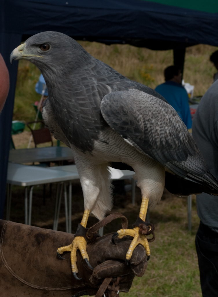 photographybyduncanholmes_3757966997_burghead2009 (34 of 73).jpg